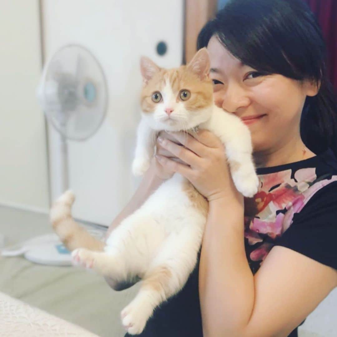 結城さなえさんのインスタグラム写真 - (結城さなえInstagram)「😽💕😽💕 お友達の愛猫、ミヌエットのことらちゃん。少し大きくなってやんちゃ盛りだそうです。 かわいい〜メロメロ〜😍 ☆ #猫  #ねこ #にゃんすたぐらむ  #ミヌエット子猫  #ことら ちゃん #メロメロ です #足 と #しっぽ が #かわいい なー #あまりのかわいさに  #顔 が #むーん ってなってしまう件 #minuet #cat #kitten #catstagram」7月19日 21時50分 - yuukisanae