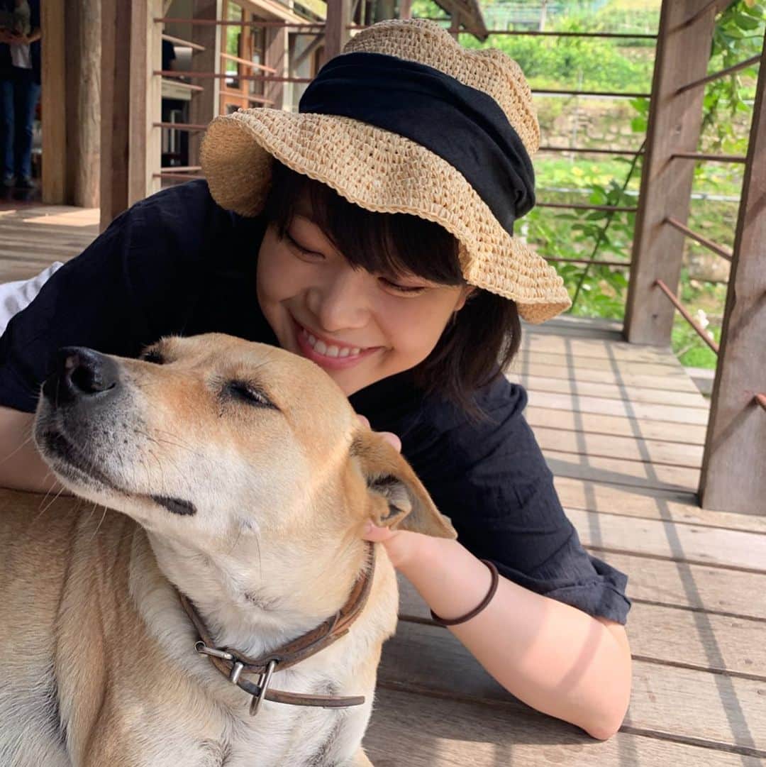 のインスタグラム：「『愛がなんだ』 テアトル新宿、渋谷シネクイント  は 25日（木）までの上映となりました。 4/19から始まって 14週間という 超ロングラン興行になったのは ほんとうーーーに、みなさんのおかげです。 ありがとうございます！！ ありがとう！ハグユー！ 嬉しいなんて言葉だけじゃあ足りないです、でも嬉しい。  見てほしい見てほしいって もう何千回何万回言ってしまう、まだいうよ  なので、だから、 テアトル新宿、シネクイント渋谷では 明日明後日が最後の週末です🌈 新宿渋谷にお出かけの方 家が近いよって方 もう見たよって方も、まだなのよって方も、 ぜひみなさん映画館へ。。 もちろん！地域によっては始まったばかりの映画館もあります！！ 見れるんよ！まだまだ！ アップリンクに映画見に行ったらちょうどやっててそわそわした！ みてね。 テルコはどこへでも。 まってるぞ  withとてもかわいいワンちゃんでした」