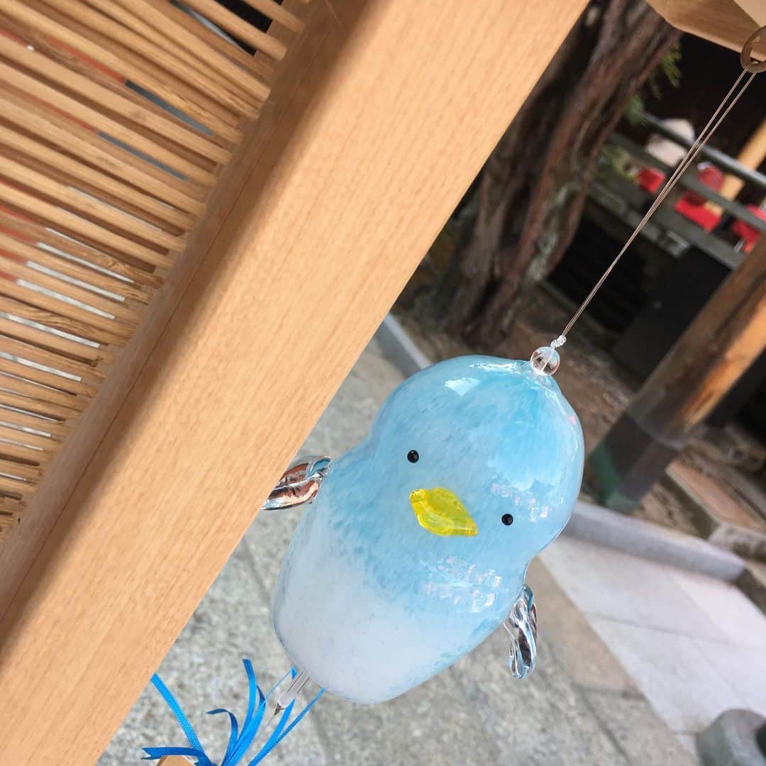 Nao☆ さんのインスタグラム写真 - (Nao☆ Instagram)「キャメラ目線いただきました🐧🎐 #白山神社祭り」7月19日 22時35分 - nao_ngc