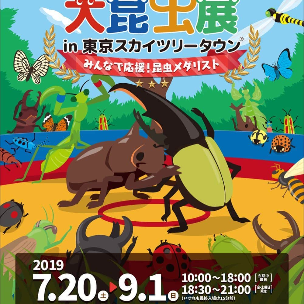 井上咲楽さんのインスタグラム写真 - (井上咲楽Instagram)「. 大昆虫展の応援団長になりました！ . プレス発表会では、 #内山昭一 さんの昆虫食を食べました！燻製の幼虫がやわらかくて、食べやすかったです！残りの試食会大丈夫かなってくらいばりぼり食べました。 . こんなに近くでカブトシムを見られるふれあいの森に感動しました！ガラス一枚とおすのと、直接見られるのって全然違いますよね。大迫力で昆虫のすごさを感じらるし、夏は暑いけど室内だから涼しくみられる！ぜひこの夏行ってみてください✨ . #大昆虫展」7月19日 22時56分 - bling2sakura