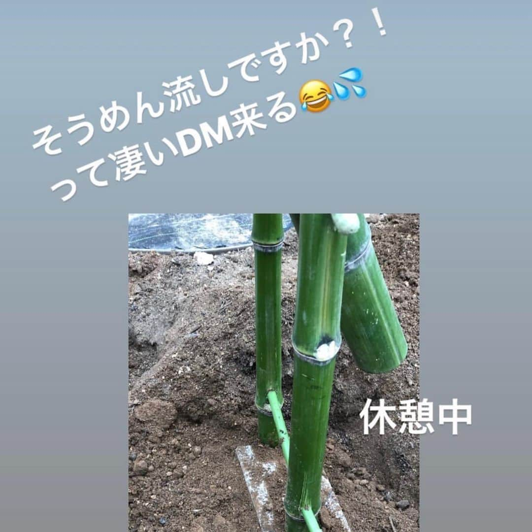 minminさんのインスタグラム写真 - (minminInstagram)「・ 石畳みゾーン 拡張するのはやめました😂 あとは砂利を10袋くらい足して完成にしたいと思います✨ 長かったなぁ〜💦 ・ ちょこちょこストーリーズにも 途中経過をアップしてきましたが 沢山の応援DM本当にありがとうございました😭✨ ・ ・ #外構#セルフ外構#日本庭園風#和のテイスト#庭づくり#外構デザイン#DIY#マイホーム#和モダン#ししおどし#つくばい#japanesegarden#手作りの庭#イロハモミジ#花#苔庭#手水鉢#あみさんちの外構工事#amiagramgarden #ホースリール や #石畳み型枠 などは  #楽天roomに載せてます#roomインフルエンサー ・ 庭作りについてはブログにも 少しづつ経過をまとめています。 質問はそちらを見てからお願いします🙇‍♀️✨」7月19日 23時08分 - amiagram