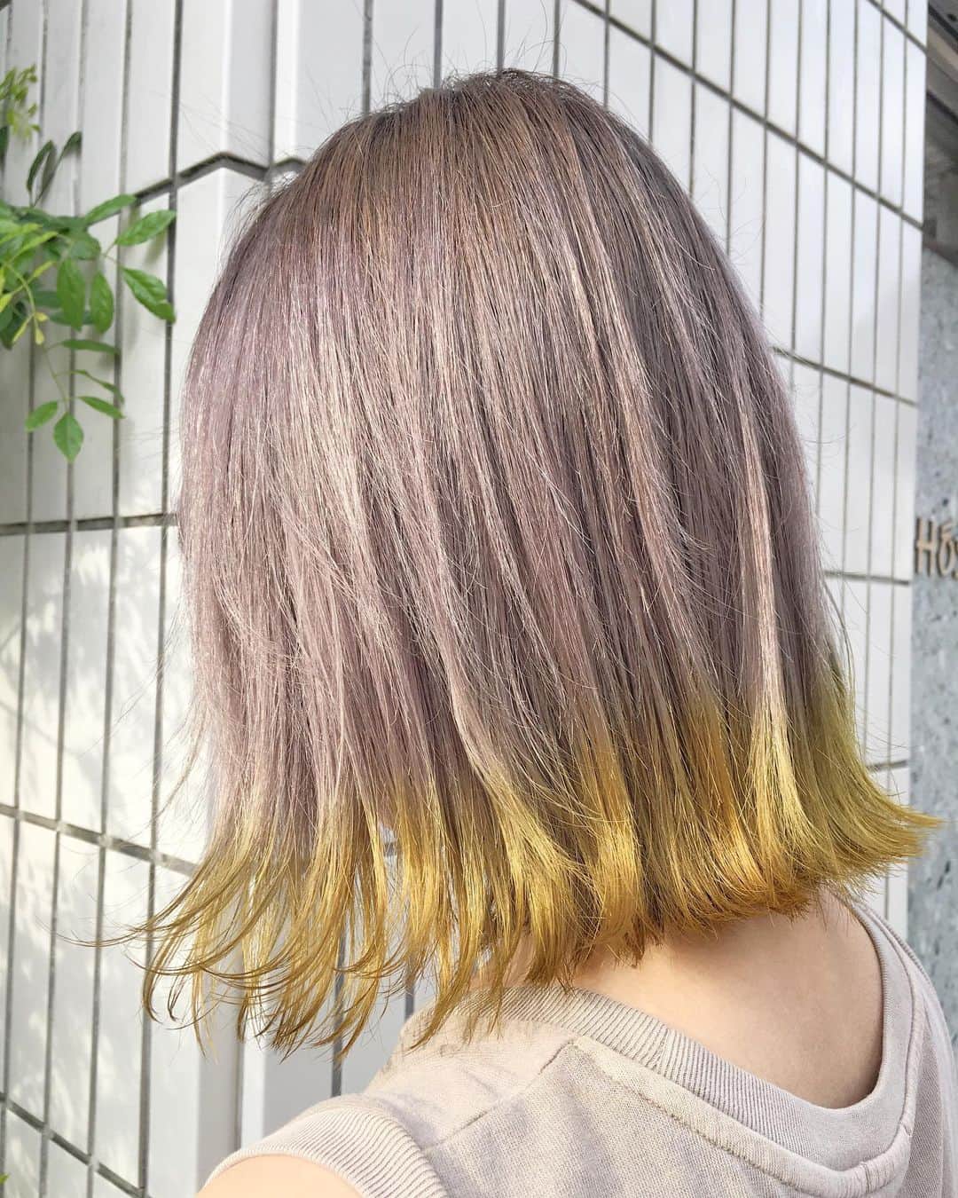 大石亜里紗のインスタグラム：「. . –––––––––––––––––––––––––––– . 2bleach🐄beige×yellow . . 柔らかいハイトーンカラー お任せください🦔🌿✨ DM・☎︎からのご予約がおススメ🌻 . –––––––––––––––––––––––––––– . . #crea_arisa 大人気のおススメカラー🌿 #ミルクたっぷりカラー🥛 . 色素薄い外国人のような 赤味のないカラーなら お任せください👩🏼💐 . . #ミルクティーベージュ #ミルクティーカラー #ミルクティーアッシュ #ミルクティー色 #ミルクティーグレージュ #シースルーカラー #パールピンク #ピンクアッシュ #ケアブリーチ #クリーミーベージュ #ハイライトカラー #ハイトーンカラー #グラデーションカラー #バレイヤージュカラー #色素薄い系  #シアカラー  #大人3Dハイライト #ラインカラー #ヘムカラー  #裾カラー #mery #hpb_hair #lala_hair」