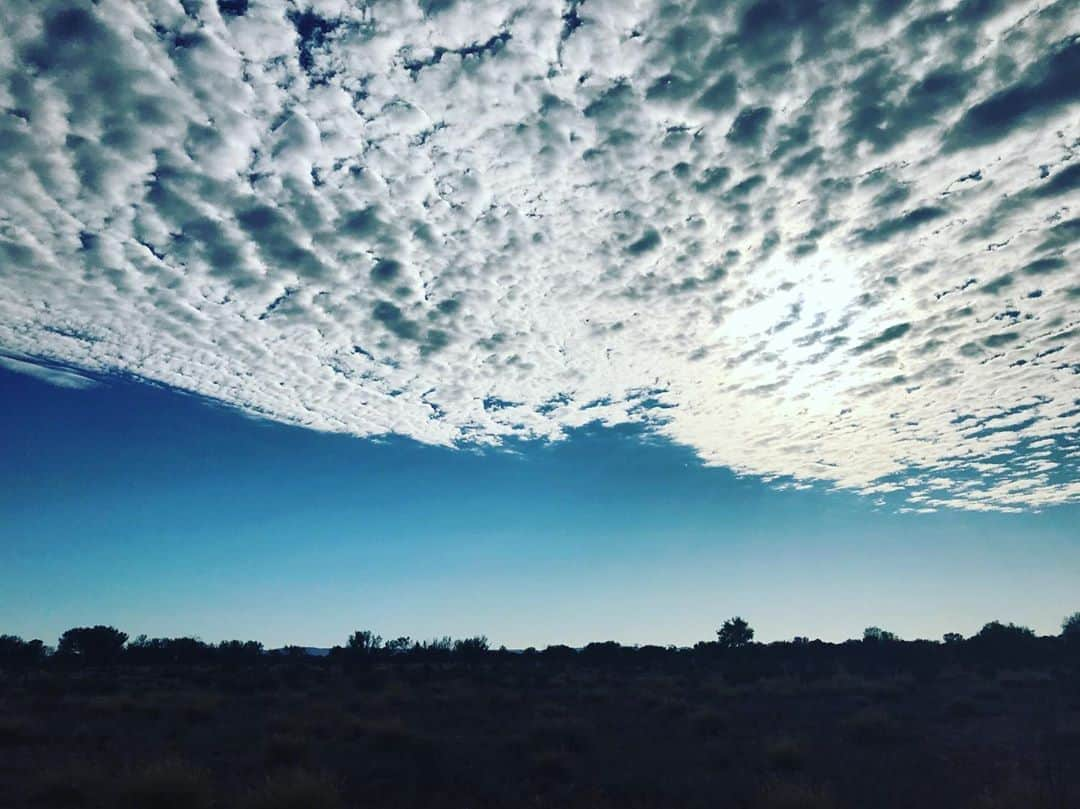 吉岡里帆さんのインスタグラム写真 - (吉岡里帆Instagram)「梅雨、早くあけないかな。 今日は久しぶりに少し晴れ間を見ましたね。  時効警察撮ってました。 ひとネタ、ひとネタ、積み重ねる日々。 過去作への敬意を持ちつつ、このシーンは何が出来るかな？と考えて。  考える時間があることに感謝です。  今日も、みーんな頑張りました。 お疲れ様です。  #梅雨明け #晴れ間 #また明日 #時効警察 #リスペクト #アイデア」7月19日 23時39分 - riho_yoshioka