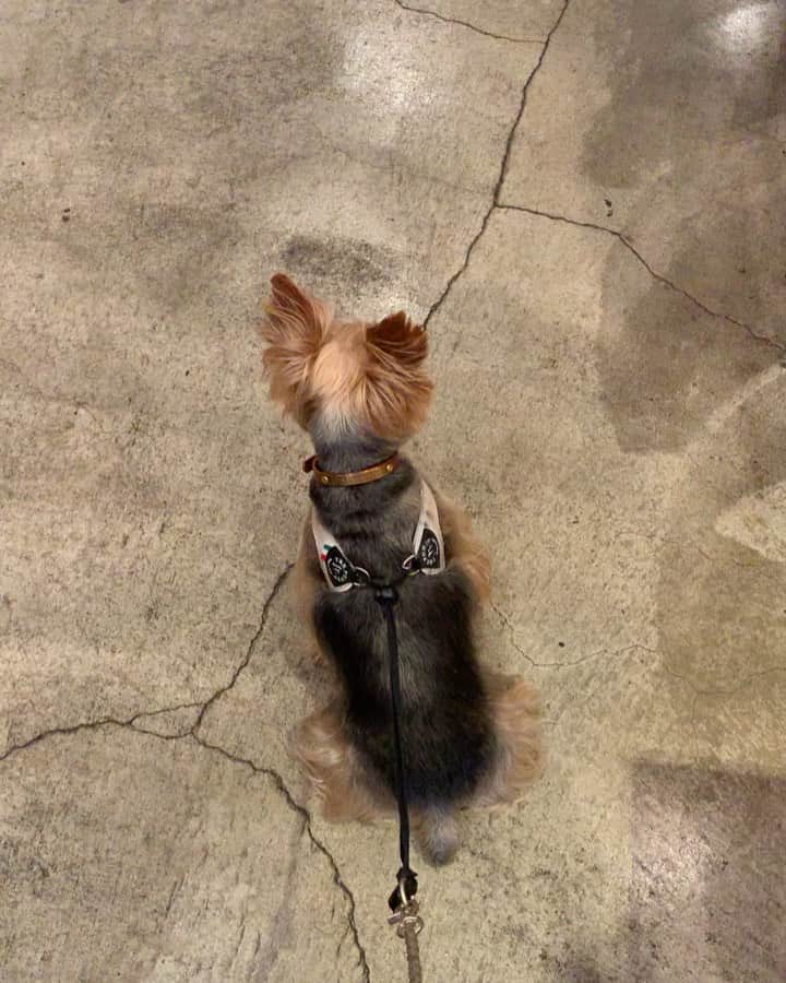 Rubyのグルメインスタ