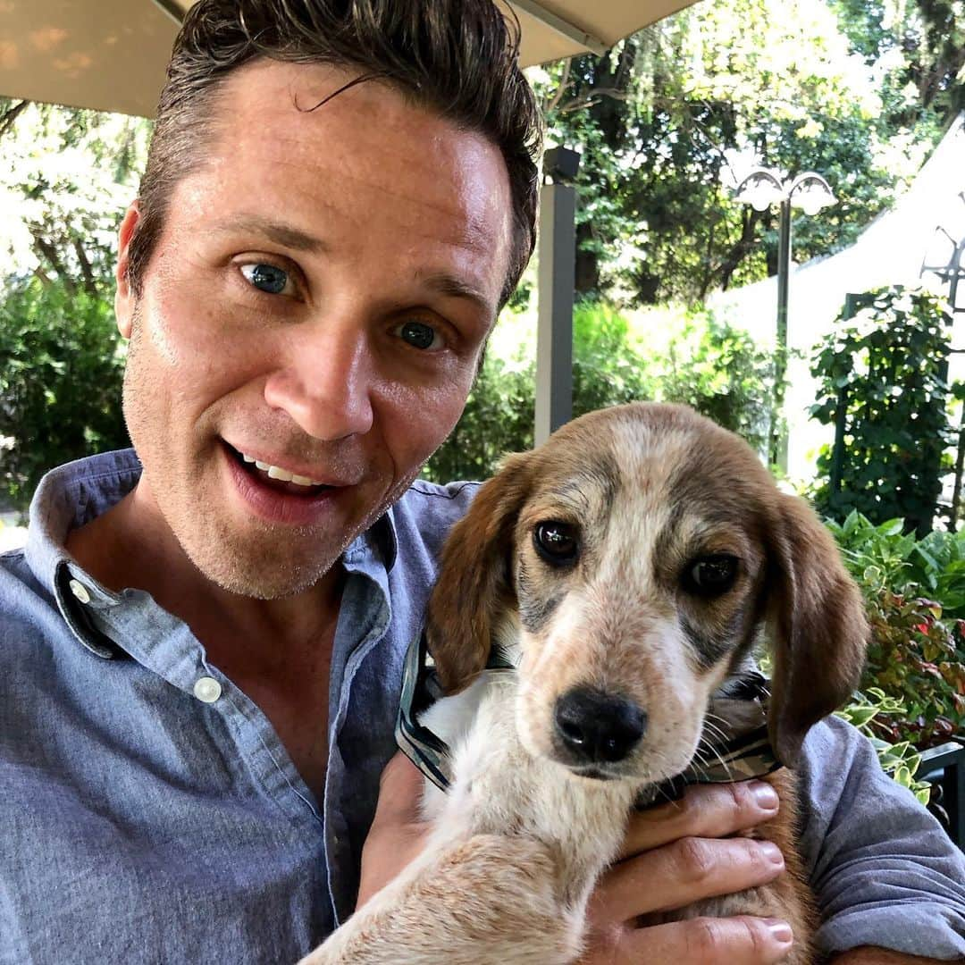 シーマス・デヴァーさんのインスタグラム写真 - (シーマス・デヴァーInstagram)「Ermigerd, we get to see this little guy again today. @marta_evry @cleverdeverwherever @dog.org.ge #GeorgieFromGori」7月20日 1時19分 - seamuspatrickdever