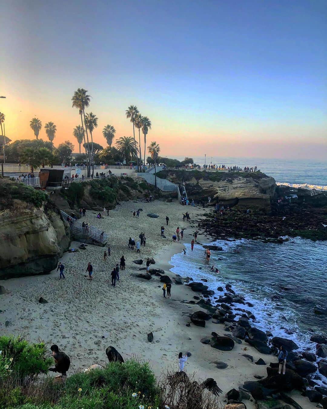 scottlippsさんのインスタグラム写真 - (scottlippsInstagram)「Sunrise on the west coast, have a beautiful Friday and cheers to the weekend. #beach #vibes #cali」7月20日 2時00分 - scottlipps