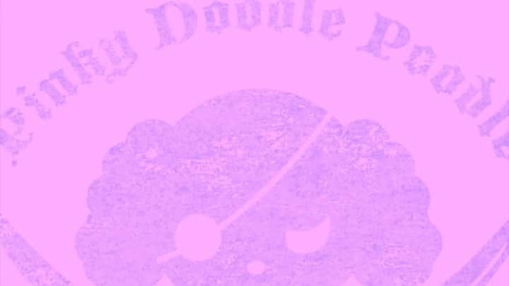 PINKY DOODLE POODLEのインスタグラム