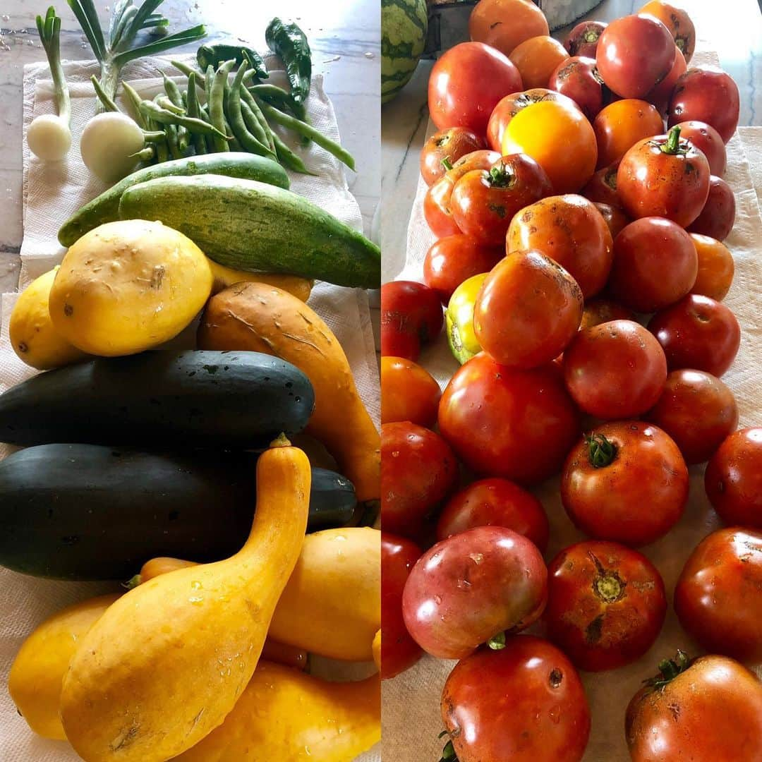 キャリー・アンダーウッドさんのインスタグラム写真 - (キャリー・アンダーウッドInstagram)「Picked quite the haul out of the garden this morning! Nothing better than homegrown fruits and veggies! ❤️🍅🥒🌶❤️ #garden #tomatoes #fresh #healthy」7月20日 2時11分 - carrieunderwood