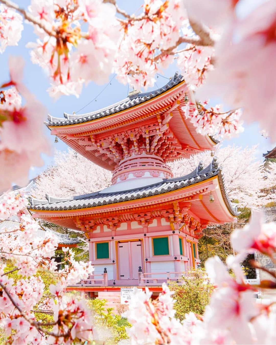 Wonderful Placesさんのインスタグラム写真 - (Wonderful PlacesInstagram)「Spring in Japan ✨🌸🌸🌸✨ . Picture by ✨✨@loic.lagarde✨✨ #wonderful_places for a feature 💖」7月20日 13時09分 - wonderful_places