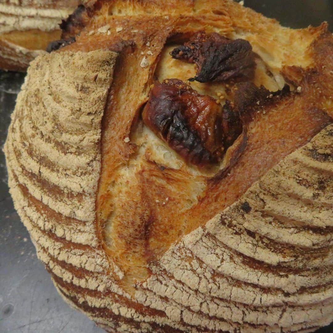 魔女菅原のグルメインスタ