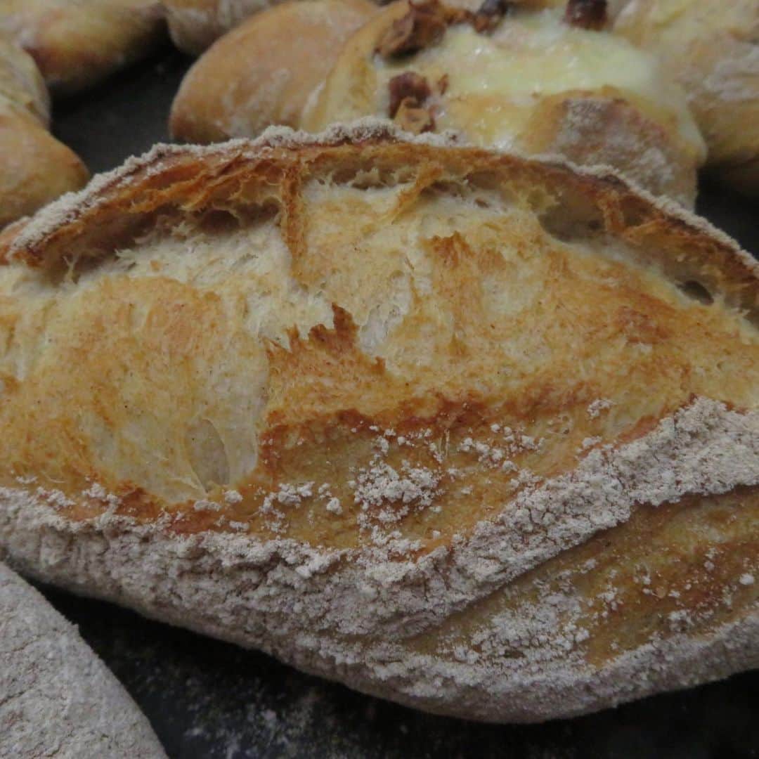 魔女菅原のグルメインスタ