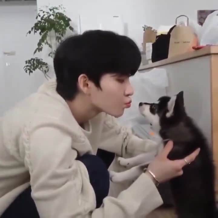 のインスタグラム：「rest a lot hyunjoon :( stay healthy and Please always take care of yourself ㅠㅠ  we'll be waiting for your recovery❤️, love u hwall 💘 ___ ___ 《 #theboyz#더보이즈#활#hwall#heohyunjoon #hyunjoon #theboyzhwall#tbz#hwalltheboyz#허현준」