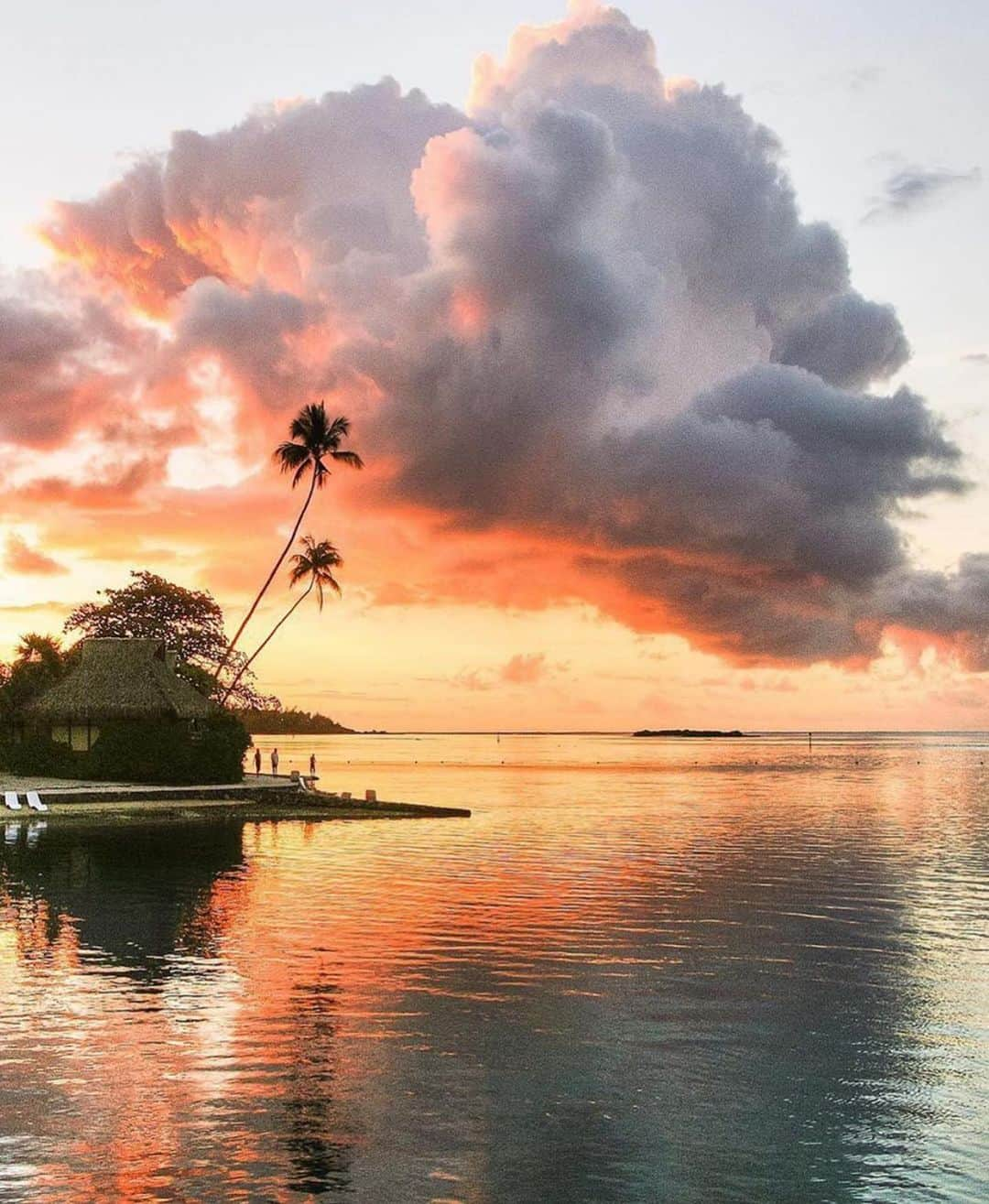 Awesome Wonderful Natureさんのインスタグラム写真 - (Awesome Wonderful NatureInstagram)「Bora Bora, French Polynesia Photos by @loic.lagarde  #fantastic_earth」7月20日 5時07分 - fantastic_earth