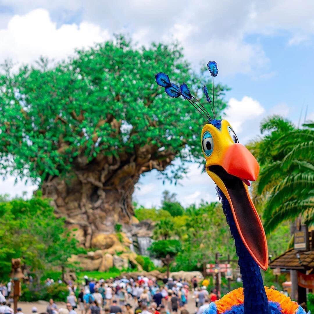 Walt Disney Worldのインスタグラム：「Our favorite photobomber, Kevin! 👀 #WaltDisneyWorld(📷: @zaddcrew)」