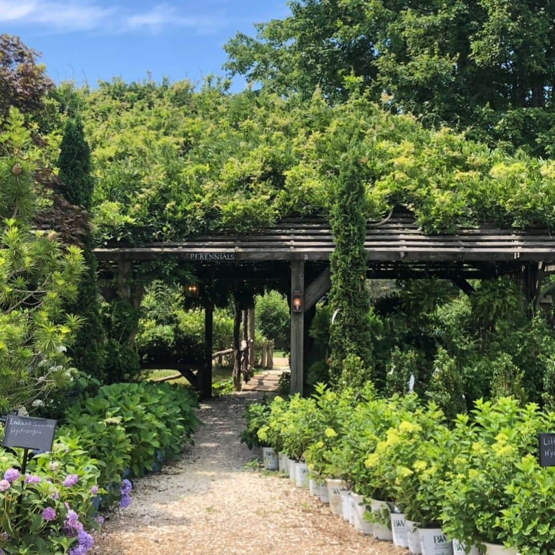 ノーマン・フォスターさんのインスタグラム写真 - (ノーマン・フォスターInstagram)「Fusion of anonymous building and nature- nicely overgrown.」7月20日 6時35分 - officialnormanfoster