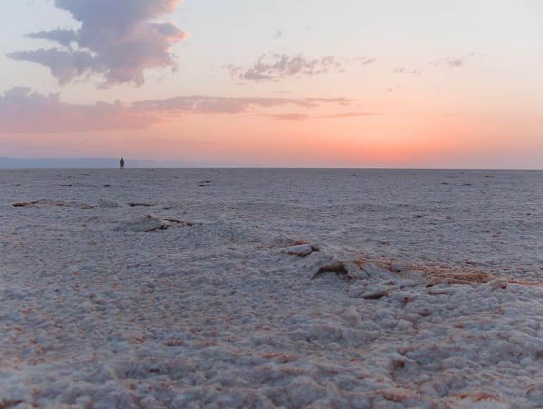 金子エミさんのインスタグラム写真 - (金子エミInstagram)「気温の変化が激しく、常に紫外線に晒されて乾燥しているエジプトの塩湖。そこで発見された #エクトイン  従来の保水成分とは違い…保水量は自らの体積の4〜５倍とも言われています。 ・ ・ 微生物が温度変化・紫外線・塩濃度といった過酷な生育環境の砂漠で、生息できる理由の一つとして、エクトインが大きく関与している事が明らかになっていて、これから注目される美容成分・エクトイン！そのまだ聞きなれないエクトインですが、いち早く皆様の肌にお届けしたく配合しました #ドラゴンズブラットボディースキンミストアップ エクトインの保水力を、私達のお肌に与えてみましょ！」7月20日 6時45分 - emikaneko1114
