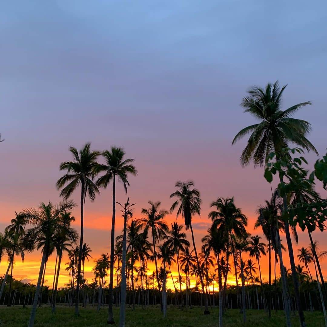 Ludi Delfinoさんのインスタグラム写真 - (Ludi DelfinoInstagram)「From a amazing trip to one of the most beautiful sunsets I ever seen 🌅🙏🤗 @revolve」7月20日 7時04分 - ludidelfino