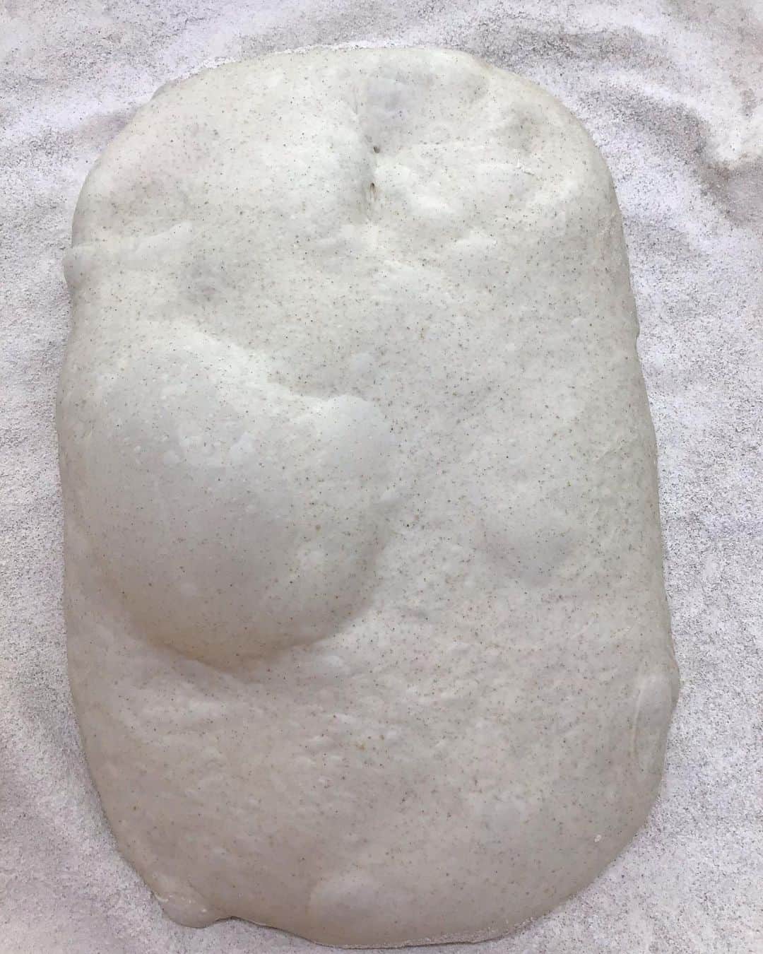 魔女菅原のグルメインスタ