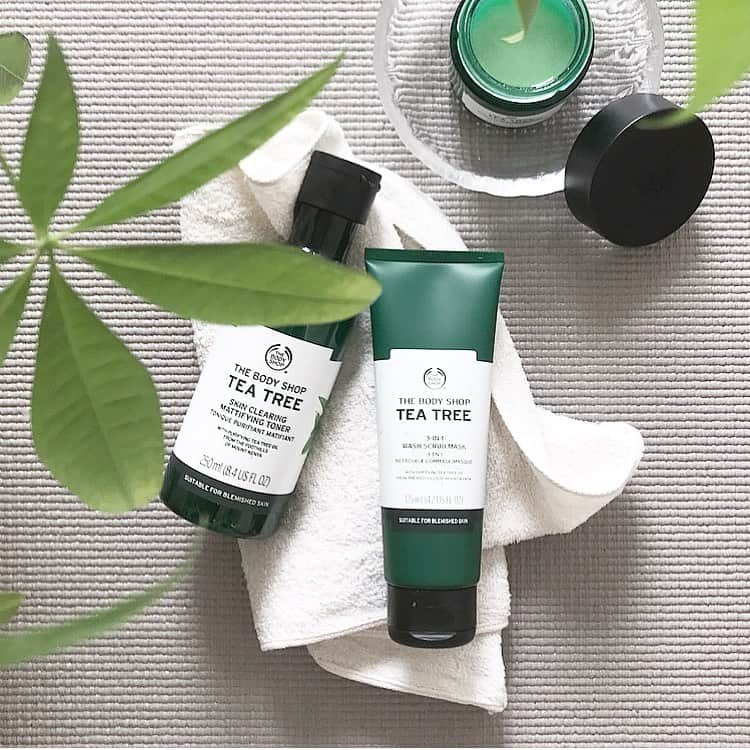 のインスタグラム：「_______ TEA TREE POWER! 🍃🍃✔️ . みんなが知っているお馴染みの「THE BODY SHOP」 . イギリスのブランドで、 100％ベジタリアン対応の自然派化粧品。 . 写真は夏向けのティーツリーシリーズ。 . 年々高温多湿になり、 特に真夏は汗や皮脂が出やすいですよね。 そこに汚れが付着すると黒ずみやニキビの原因に。 . 真夏は紫外線対策だけでなく、 皮脂の分泌をコントールするためにも 汚れをしっかり落とし充分な保湿をしたい。 . そんな肌ケアに最適な３つのアイテムです。 . . 左から #スキンクリアリングマッティファイングトナーTT (二層式の化粧水) 天然由来成分が爽やかに香って使い心地がいい。 . #３IN1ウォッシュスクラブマスクTT (スクラブ入り洗顔料/フェイスマスク) 7/18 ティーツリーシリーズの新定番として発売。 洗顔、スクラブ、マスクの３つの機能が１つになった 多機能洗顔料。 クレイが汚れを吸着して滑らかな肌触りにしてくれる。 . #スキンクリアリングナイトマスクTT (夜用のマスク) さっぱりしているのに、保湿されてみずみずしい肌に。 . . 肌を清潔に保つティーツリーシリーズは、 夏特有の不快な肌トラブルに負けないクリーン肌へ 導いてくれますよ。 . 特に化粧水は、 皮脂分泌が活発な若い方や男性にもおすすめ。 真夏のプチギフトに最適！ . クリーン素肌を目指したい人は、 ぜひ試してみてくださいね😊 . . #ボディショップ #thebodyshop #真夏のクリーン素肌 #ティーツリー #PR #乾燥肌 #保湿 #潤い .」