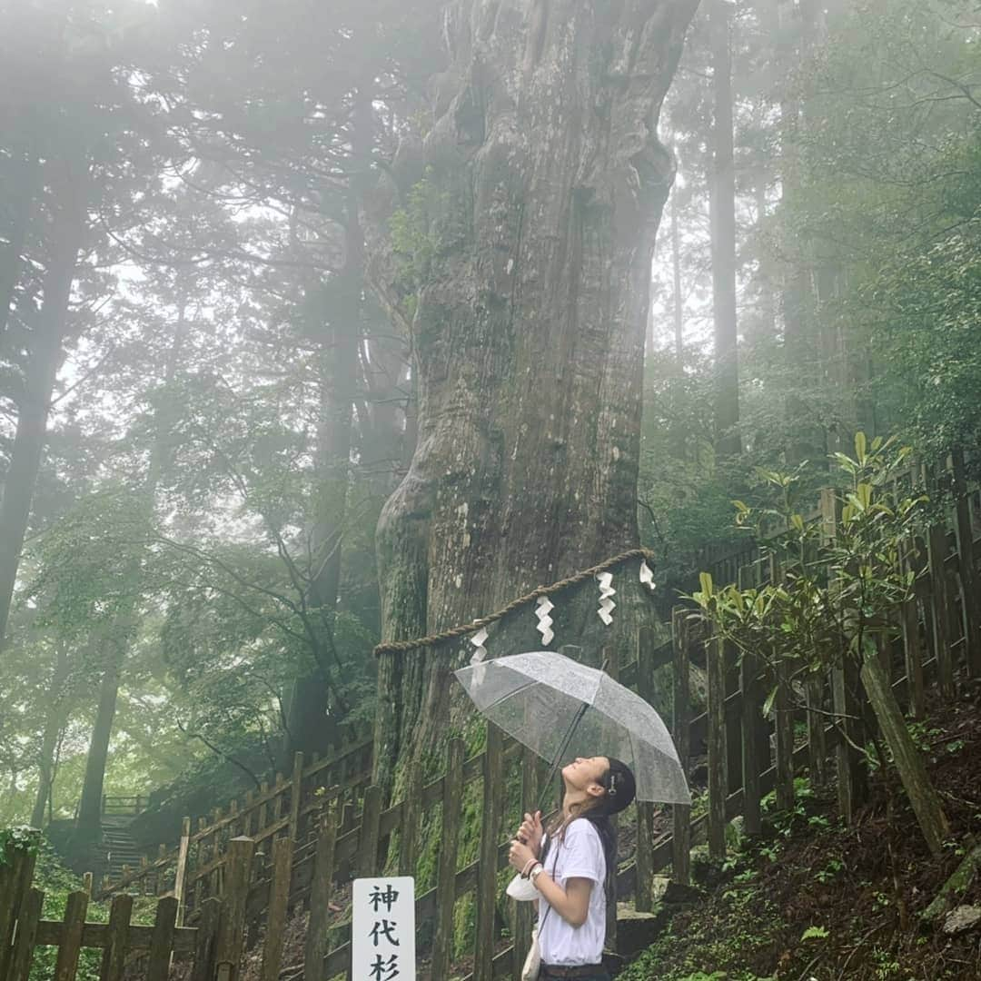 西山茉希さんのインスタグラム写真 - (西山茉希Instagram)「初めて耳にした2018のはじめ。 聞いただけで魅力的で、 直感で『行きたい』と私の中にずっとありました。  #行きたい場所 #叶えたい場所 #辿り着きたい場所  いつのまにか叶えたい願いになっていました。  #全てタイミング #全てご縁  甘えさせてもらい、 頼らせてもらい、 目的地まで開いた1泊2日の道のり。  #嬉しすぎ #幸せすぎ #大杉 #神大杉  この身で、この目で、 感じることができました。  #最高すぎ #霧すごすぎ #雨降りすぎ #気持ちよすぎ #ここはスギ祭  行動すれば何かが得れる。 言葉に出せば何かに繋がる。 頭の前に身を動かす。 感覚派。  #この波に乗ってよかった #今を逃したらいつかでしかなくなる件  最大の贅沢は、 自身の本物の欲を叶えること。  レールを繋げてくれた全ての方に、 心から感謝致します。  #玉置神社  玉置山で玉置浩二さんを聴いた件はオマケエピソードにしておこう。」7月20日 8時31分 - maki.nshiyama50