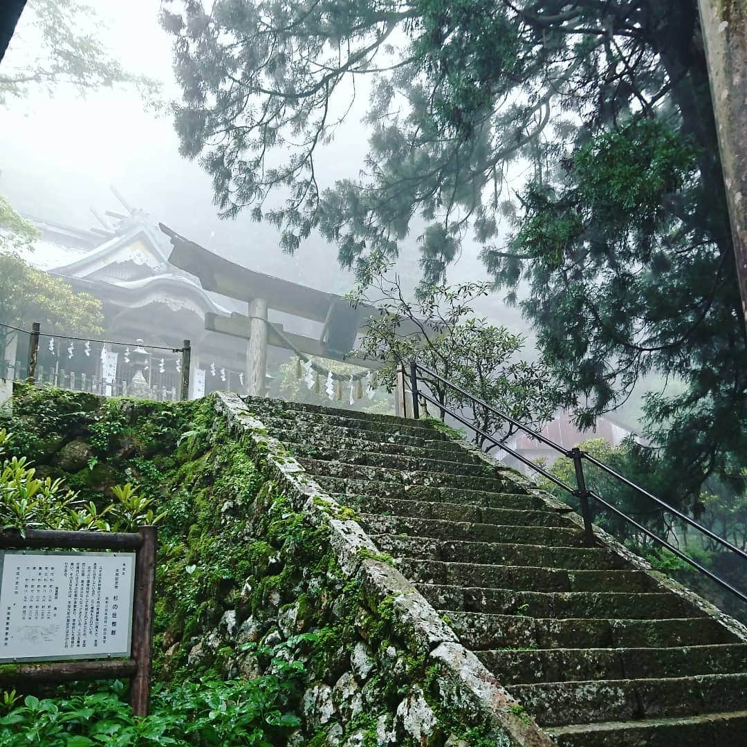 西山茉希さんのインスタグラム写真 - (西山茉希Instagram)「初めて耳にした2018のはじめ。 聞いただけで魅力的で、 直感で『行きたい』と私の中にずっとありました。  #行きたい場所 #叶えたい場所 #辿り着きたい場所  いつのまにか叶えたい願いになっていました。  #全てタイミング #全てご縁  甘えさせてもらい、 頼らせてもらい、 目的地まで開いた1泊2日の道のり。  #嬉しすぎ #幸せすぎ #大杉 #神大杉  この身で、この目で、 感じることができました。  #最高すぎ #霧すごすぎ #雨降りすぎ #気持ちよすぎ #ここはスギ祭  行動すれば何かが得れる。 言葉に出せば何かに繋がる。 頭の前に身を動かす。 感覚派。  #この波に乗ってよかった #今を逃したらいつかでしかなくなる件  最大の贅沢は、 自身の本物の欲を叶えること。  レールを繋げてくれた全ての方に、 心から感謝致します。  #玉置神社  玉置山で玉置浩二さんを聴いた件はオマケエピソードにしておこう。」7月20日 8時31分 - maki.nshiyama50