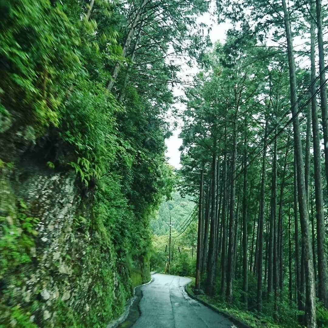 西山茉希さんのインスタグラム写真 - (西山茉希Instagram)「初めて耳にした2018のはじめ。 聞いただけで魅力的で、 直感で『行きたい』と私の中にずっとありました。  #行きたい場所 #叶えたい場所 #辿り着きたい場所  いつのまにか叶えたい願いになっていました。  #全てタイミング #全てご縁  甘えさせてもらい、 頼らせてもらい、 目的地まで開いた1泊2日の道のり。  #嬉しすぎ #幸せすぎ #大杉 #神大杉  この身で、この目で、 感じることができました。  #最高すぎ #霧すごすぎ #雨降りすぎ #気持ちよすぎ #ここはスギ祭  行動すれば何かが得れる。 言葉に出せば何かに繋がる。 頭の前に身を動かす。 感覚派。  #この波に乗ってよかった #今を逃したらいつかでしかなくなる件  最大の贅沢は、 自身の本物の欲を叶えること。  レールを繋げてくれた全ての方に、 心から感謝致します。  #玉置神社  玉置山で玉置浩二さんを聴いた件はオマケエピソードにしておこう。」7月20日 8時31分 - maki.nshiyama50