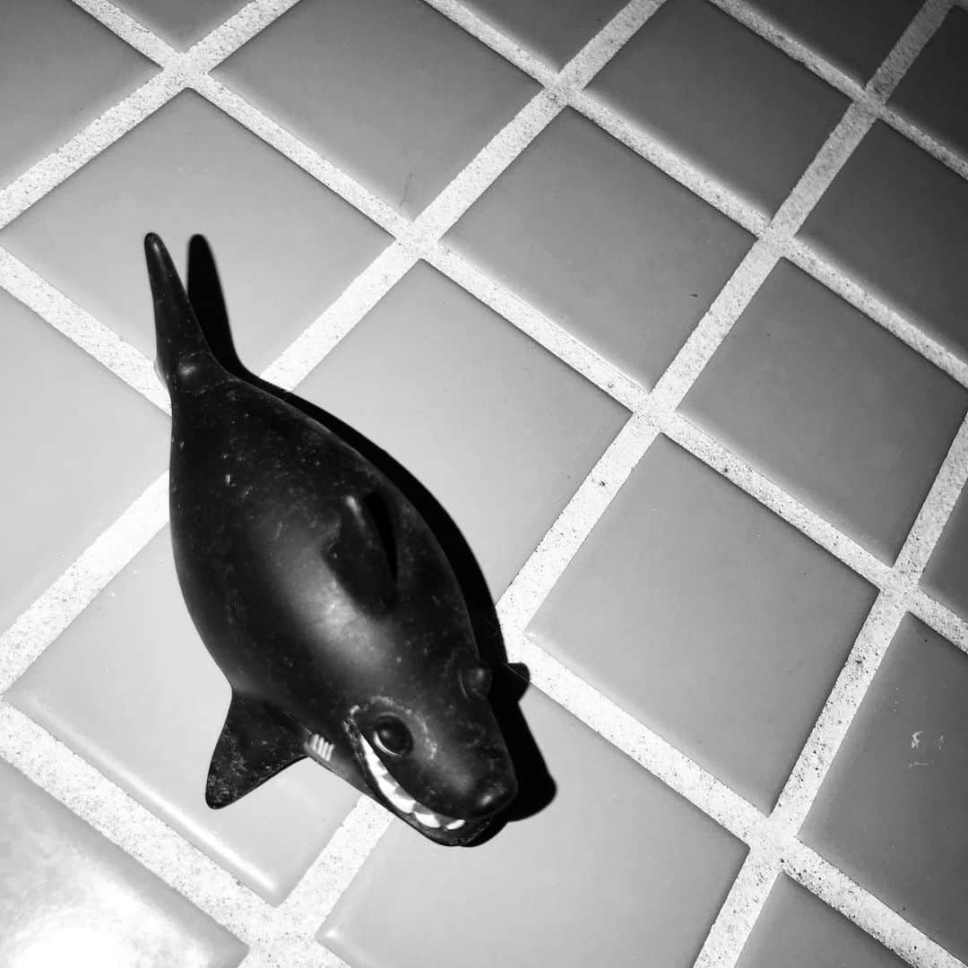 柏木作夢さんのインスタグラム写真 - (柏木作夢Instagram)「Good morning Saturday🦈  It's family day.  #Saturday #weekend #shark #bathroom #gm #tokyo #mood」7月20日 8時40分 - samukashiwagi