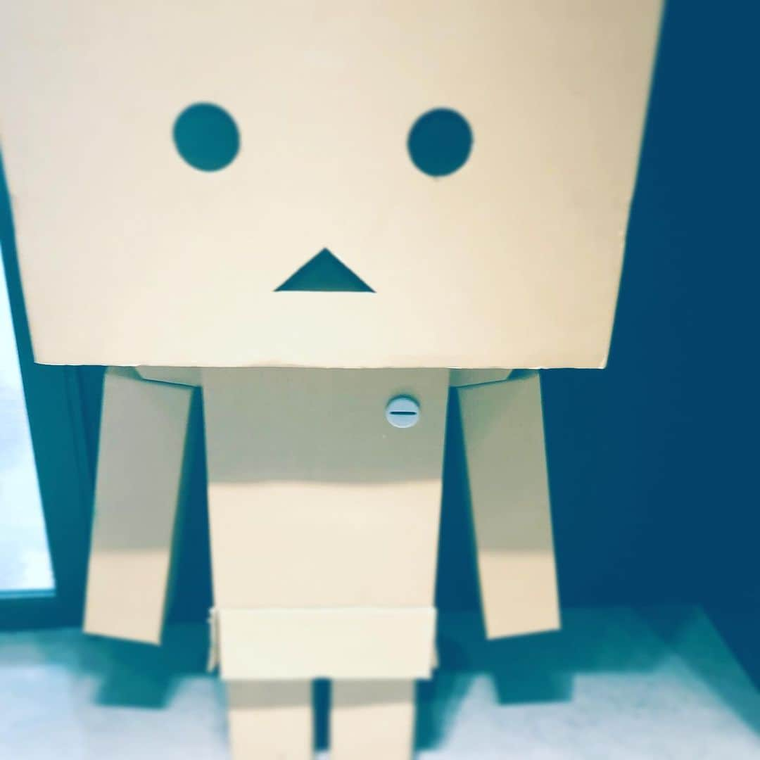 中野敬久さんのインスタグラム写真 - (中野敬久Instagram)「本物いた。#ダンボー #よつばと #yotsubaandi #yotsuba #danboard #danboardlove」7月20日 8時51分 - hirohisanakano