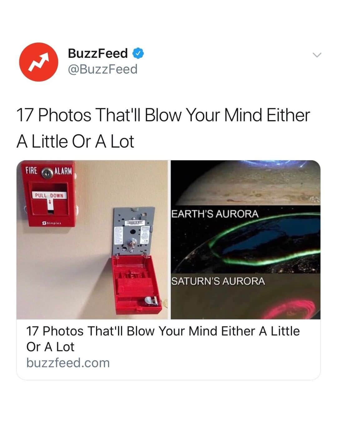 BuzzFeedさんのインスタグラム写真 - (BuzzFeedInstagram)「These are at least ~mildly~ amusing to the bored (aka you) 😏 Link in bio 👀」7月20日 9時01分 - buzzfeed