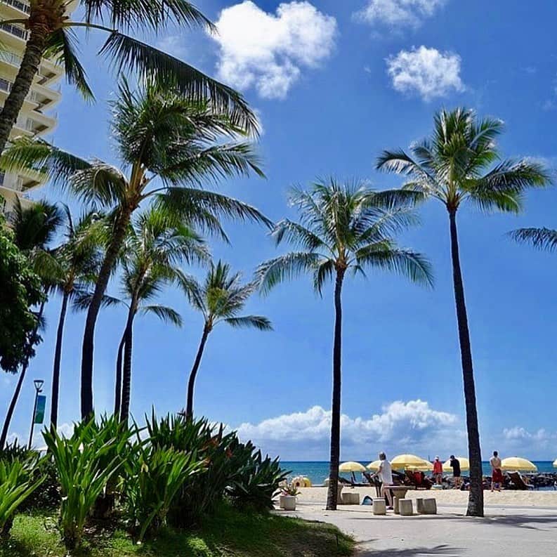 Trump Waikikiさんのインスタグラム写真 - (Trump WaikikiInstagram)「It's only less than a two-minute walk away from #trumpwaikiki to world-famous Waikiki Beach. 📷: @lesoleilflower  #HappyAlohaFriday #forbescelebrationofferwithresortcredit#waikikiescapeoffer #ultimatefamilygetawayoffer #fivestarhotelhonolulu#fivestarhotelinhonoluluhawaii #luxurytravel #familytravel#multigenerationaltravel #romancetravel #lethawaiihappen #visitoahu モダンな外観、一流のサービスでゲストをお迎えいたします。世界的に有名なワイキキビーチまで徒歩約２分です。 #トランプワイキキ #５つ星ホテル #ラグジュアリーホテル #家族旅行 #ハネムーン #一流のおもてなし 📷:@lesoleiflower」7月20日 9時27分 - trumpwaikiki