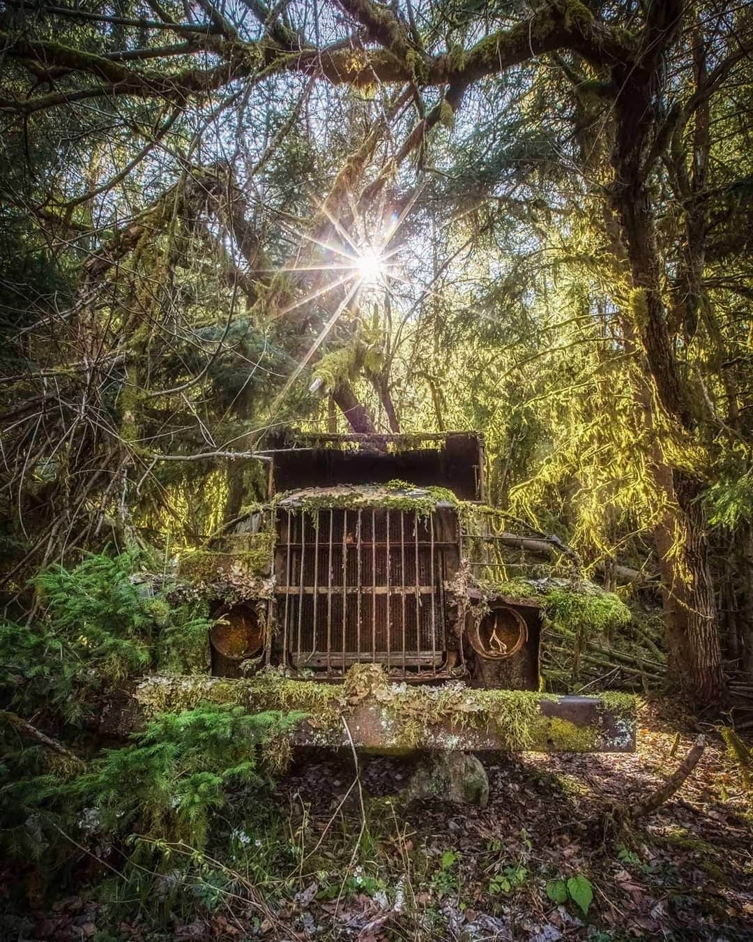 Abandoned Placesさんのインスタグラム写真 - (Abandoned PlacesInstagram)「Truck in the woods 🌿 Photography by @kelly_jean_urbex_photography」7月20日 10時00分 - itsabandoned