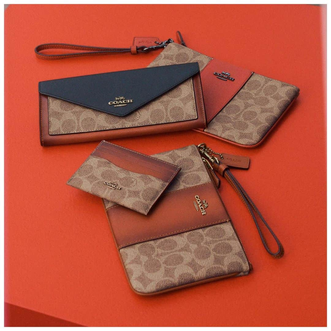 コーチさんのインスタグラム写真 - (コーチInstagram)「For card-carrying members of the Coach fam. Signature wallets, wristlets and card cases are always a good idea. #CoachNY」7月20日 10時44分 - coach