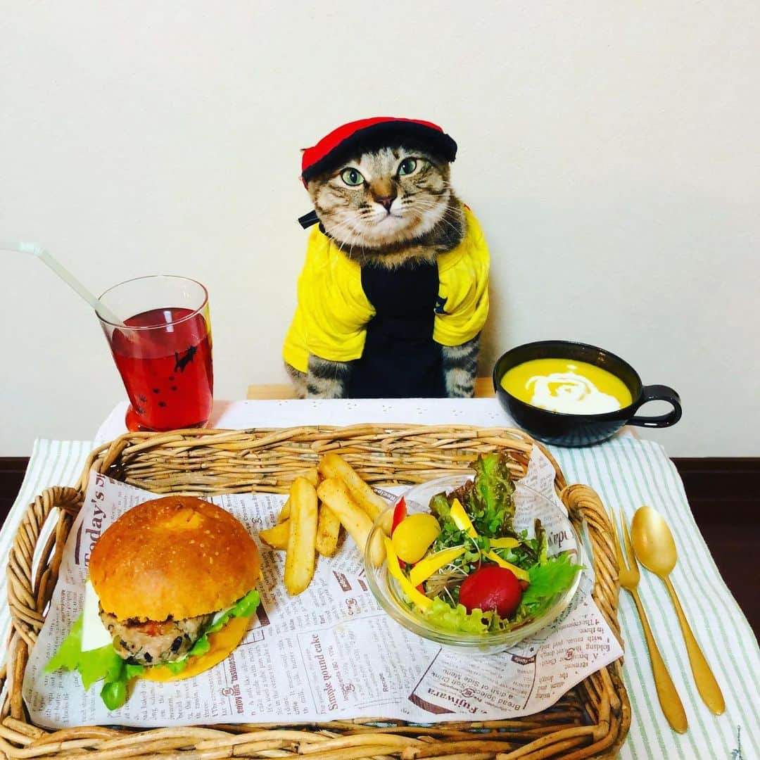 マロさんのインスタグラム写真 - (マロInstagram)「ハンバーガーの日🍔 July 20 is the day of Hamburger in Japan. ☆ いつもコメントありがとうございます😸🙏💕 返信出来なくてすみません🙇‍♀️ 全て拝見しています🐾 ☆ Thank you for your kind comments😸🙏💕 I'm sorry that I couldn't reply. ☆ #cat#cats#catsofinstagram#😻 #food#hamburger#ねこ#ネコ#猫  #にゃんすたぐらむ#今日は何の日  #ハンバーガーの日#7月20日#panvirgo」7月20日 11時34分 - rinne172