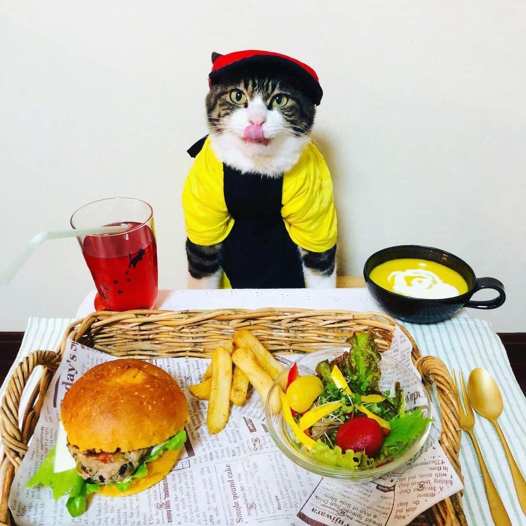 マロさんのインスタグラム写真 - (マロInstagram)「ハンバーガーの日🍔 July 20 is the day of Hamburger in Japan. ☆ いつもコメントありがとうございます😸🙏💕 返信出来なくてすみません🙇‍♀️ 全て拝見しています🐾 ☆ Thank you for your kind comments😸🙏💕 I'm sorry that I couldn't reply. ☆ #cat#cats#catsofinstagram#😻 #food#hamburger#ねこ#ネコ#猫  #にゃんすたぐらむ#今日は何の日  #ハンバーガーの日#7月20日#panvirgo」7月20日 11時34分 - rinne172