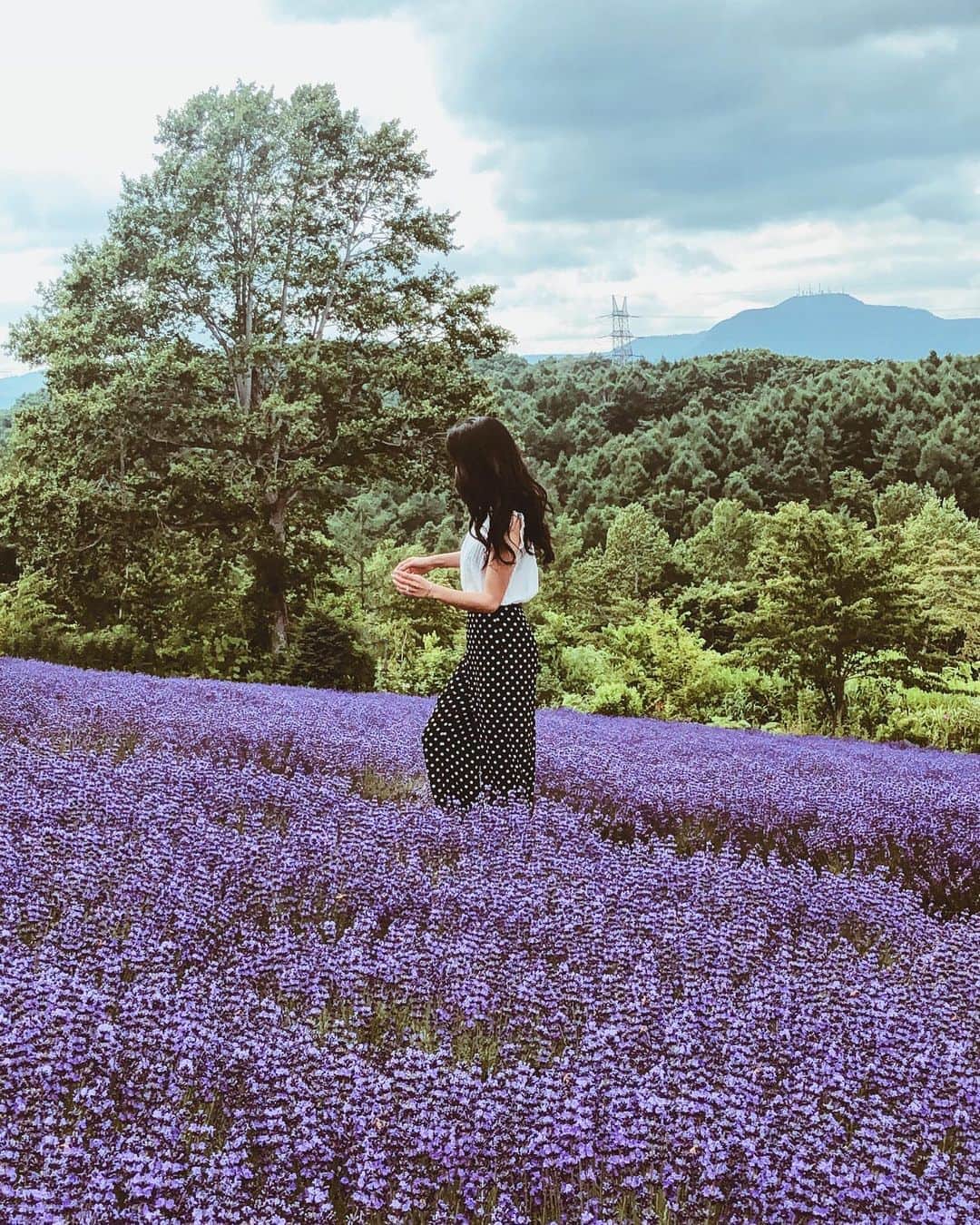 吉田愛璃のインスタグラム：「. . 🌈 ラベンダー畑💜💜💜💜 . 大好きな紫〜！！！ . 札幌の市街地も一望できて綺麗だった✨✨ . .  #札幌 #幌見峠 #幌見峠ラベンダー園 #ラベンダー #お花畑 #紫 #北海道旅行 #北海道観光 #7月 #夫婦旅行 #💜」