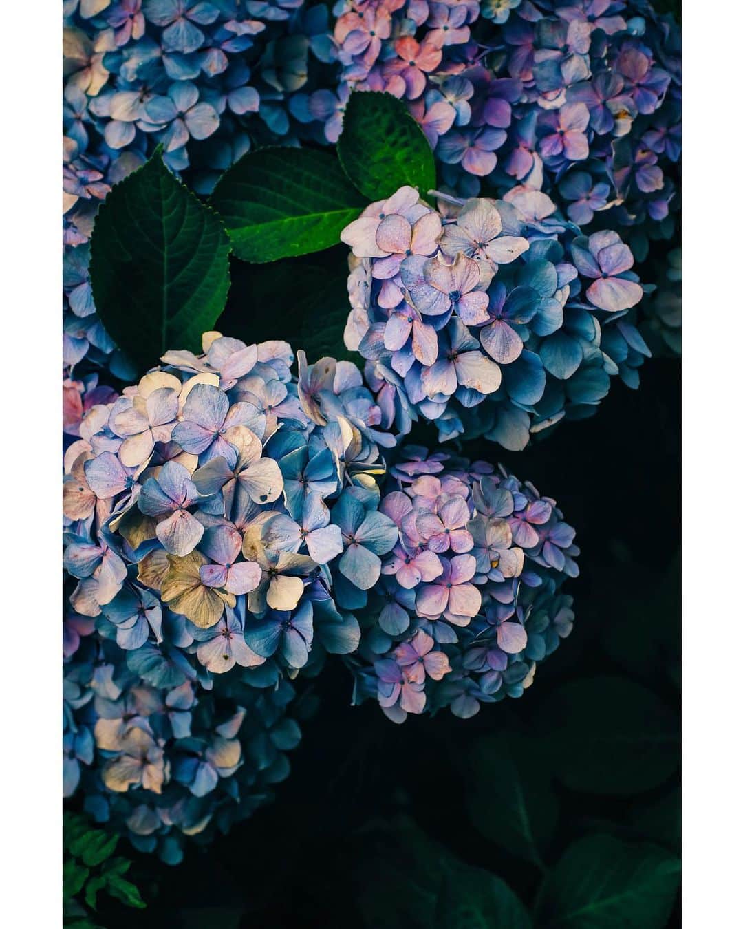 メグのん♡ A k i k oのインスタグラム：「♡Midnight Rainbow . . . 真夜中の虹 . . . ♡」