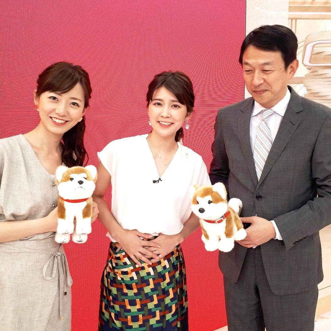 フジテレビ「プライムニュース イブニング」さんのインスタグラム写真 - (フジテレビ「プライムニュース イブニング」Instagram)「先週お休みだった竹内アナ。﻿ 実は虫垂炎だったんです😣。﻿ もうすっかり元気💪元気💪。﻿ きょうは久々に 秋田犬・マサルのぬいぐるみと一緒に📸。﻿ ﻿ そして、今週も…﻿ スタジオの隅から顔を出しているのは誰❓❓﻿ ﻿ あすは、参院選の投開票日❗️﻿ 19:56～は『Live選挙サンデー』を放送。﻿ 是非、ご覧下さい‼️﻿ ﻿ #元気です﻿ #秋田犬保存会﻿ #マサル﻿ #live選挙サンデー﻿ #投票に行こう﻿ #誰？﻿ ﻿ #竹内友佳﻿ トップス、スカート #cotelac @cotelac_officiel﻿ ピアス #お世話や @osewaya_official ﻿ #野島卓﻿ ネクタイ #フェアファックス @fairfaxtokyo﻿ #内田嶺衣奈 @reina.uchida﻿ ワンピース #tonal @tonal_official ﻿ ﻿ #加藤綾子 #風間晋 #木村拓也 #酒井千佳 #荘口彰久 #副島淳 #福原直英 #佐々木恭子 #小澤陽子 #海老原優香 #安宅晃樹 ﻿ #フジテレビ #アナウンサー #ライブニュースイット」7月20日 21時08分 - livenews_it