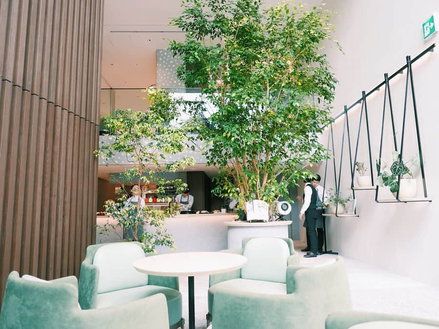 のインスタグラム：「お洒落すぎたカフェ☕️ 上品で落ち着いた空間✨ 居るだけで気分が高まります！ * ランチで私はリッチに カツサンドを頼んでみたけど.. .😯💕美味でした！  スープもイチヂクとクレソンのサラダも！ ちょっとお高めだったけどね😌 たまには、、、😘(ご褒美ぼそっ) 代官山のカフェ探すならオススメ！！ * #代官山カフェ  #代官山ランチ #樫山代官山 #お洒落カフェ #代官山  #lunch  #ランチ #休日 #kashiyamadaikanyama」