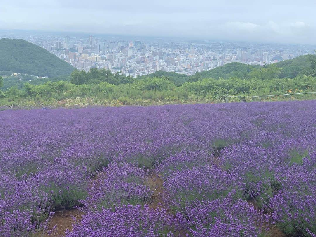 川崎成美さんのインスタグラム写真 - (川崎成美Instagram)「北海道に一週間くらい住みたいなあ。」7月20日 21時55分 - naru_1127