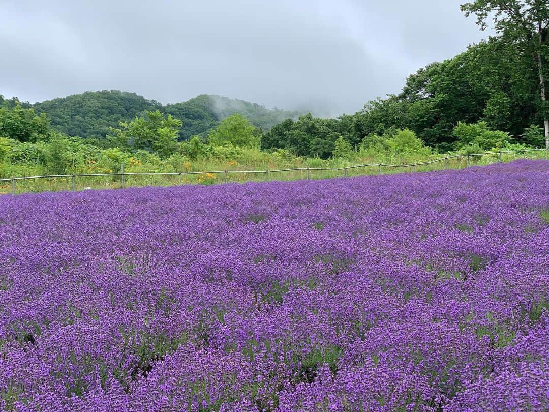 川崎成美さんのインスタグラム写真 - (川崎成美Instagram)「北海道に一週間くらい住みたいなあ。」7月20日 21時55分 - naru_1127