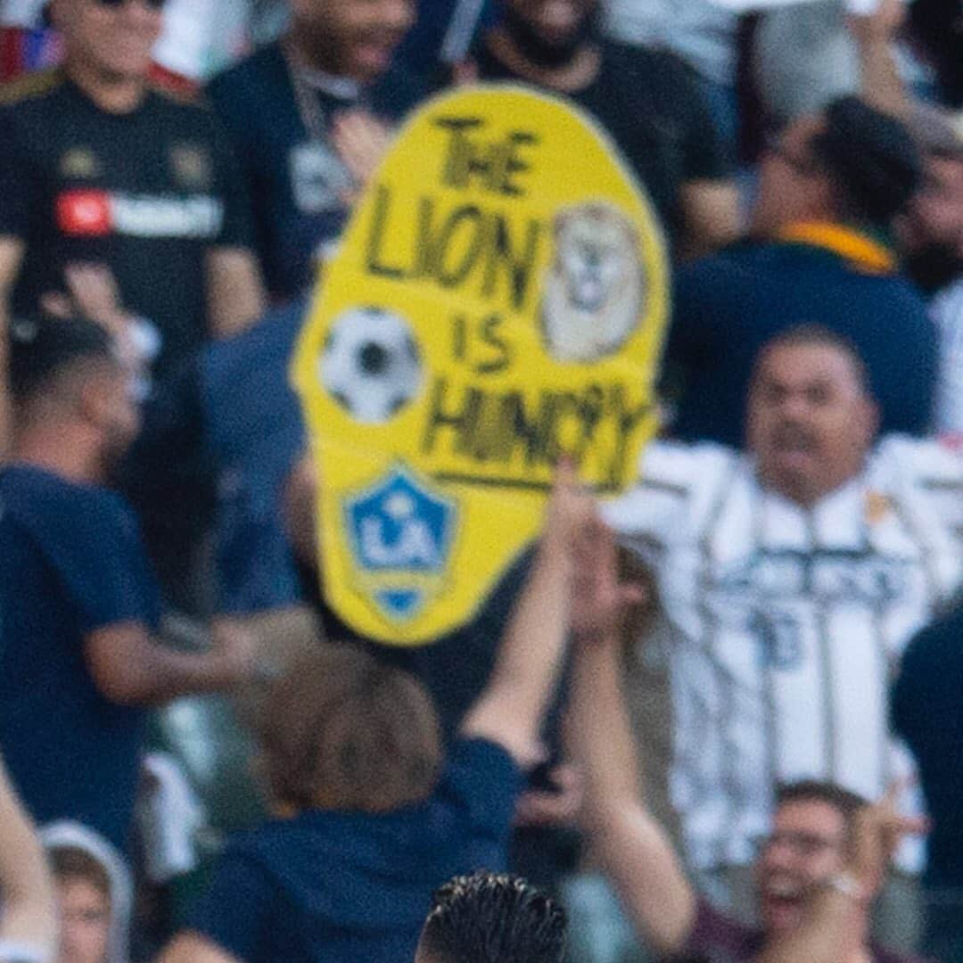 Major League Soccerさんのインスタグラム写真 - (Major League SoccerInstagram)「Yes he was. 🦁」7月20日 13時42分 - mls