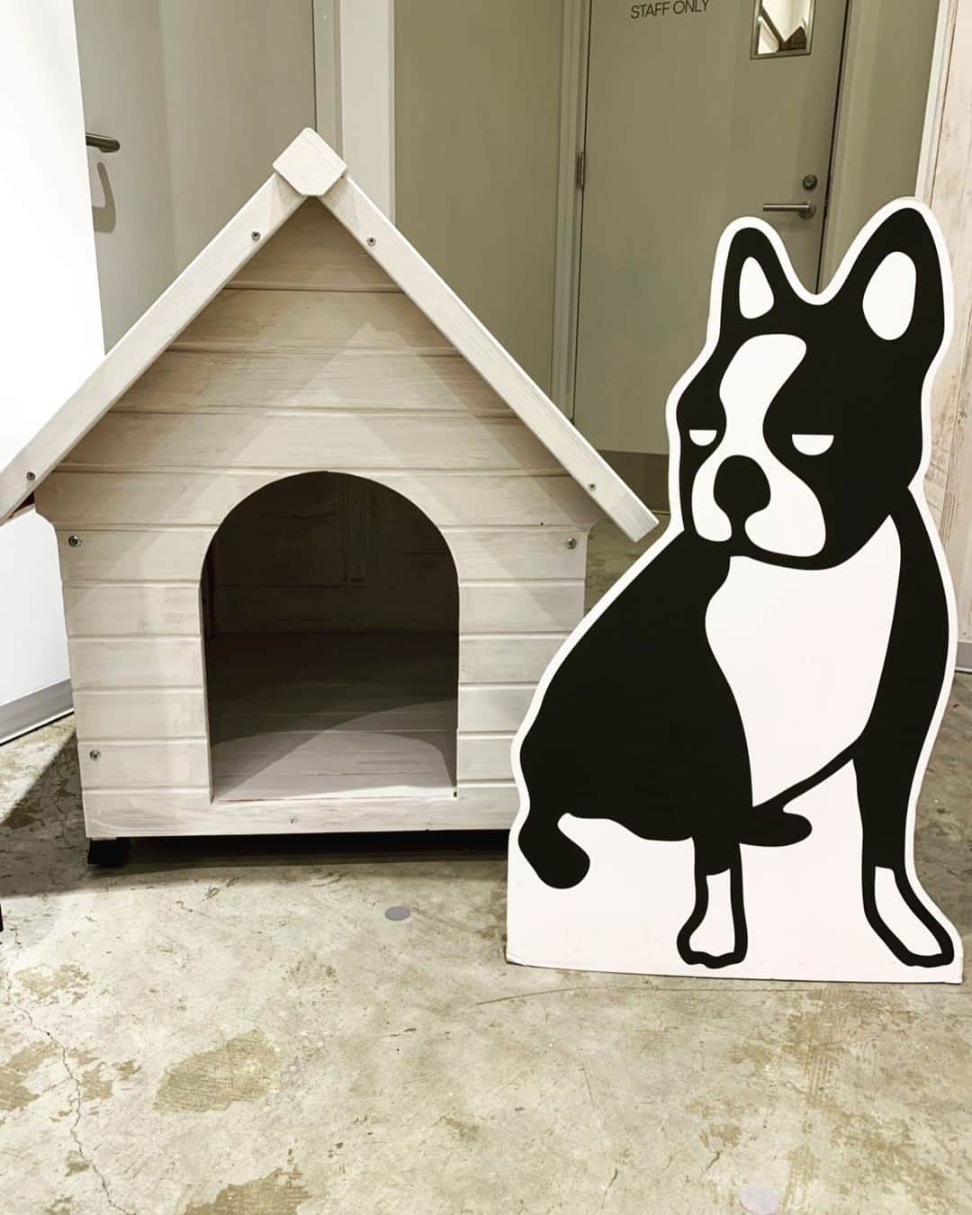 のインスタグラム：「犬小屋を作ってみました. #frenchbulldog #bostonterrier #claudiopandiani #buhi #soccerjunky」