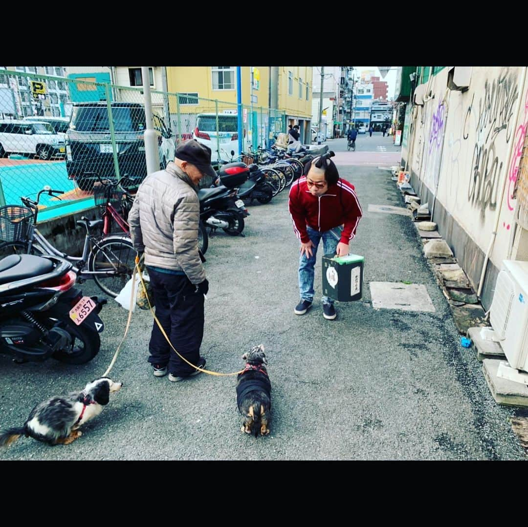 西澤裕介のインスタグラム：「岸です。蒸し暑いね。なんでやろ。何この毛むくじゃらのやつ？すごい毛生えてる。ヒモ付けて何してんの？すごい毛やで。 #暑過ぎて頭クラクラすんねん #水飲んでみよかな #いや飲まんとこ #岸大介 #太秦の空き時間 #何してますのん」