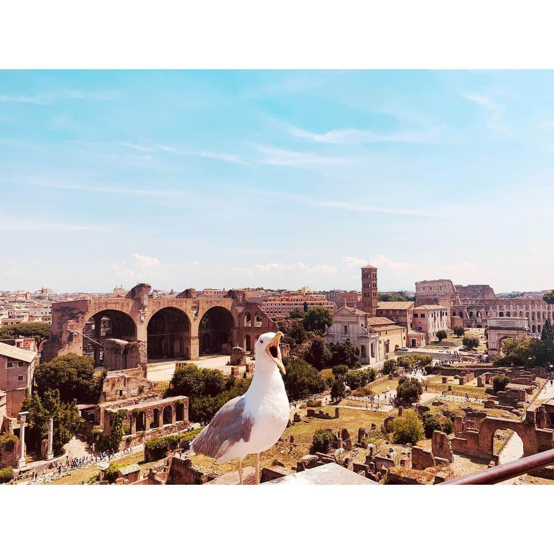 ユナ・デュフネさんのインスタグラム写真 - (ユナ・デュフネInstagram)「📍El Colosseo e Foro Romano 🇮🇹 . . . #Italia #Rome #colosseo #fororomano #palatinoromano #Sun #bellissimo #night #Sunset #antico」7月20日 14時52分 - youna_d