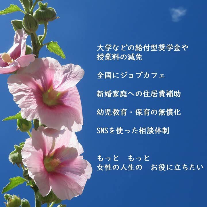 公明党さんのインスタグラム写真 - (公明党Instagram)「公明党の議員の約3割が女性議員。女性が相談しやすく、女性の声が届きやすいのが公明党です。政策や実績も女性のためにこまやかです。 これからもたくさんの女性のための政策を進めていきます。 皆さまのご支援をよろしくお願いいたします。  #公明党　#小さな声を聴く力　#女性　#若者　#女子学生　#女子高校生　#タチアオイ　#大望　#豊かな実り　#flowerstagram #flower #参院選 #参議院選挙 #期日前投票 #投票 #比例区は公明党」7月20日 15時09分 - komei.jp