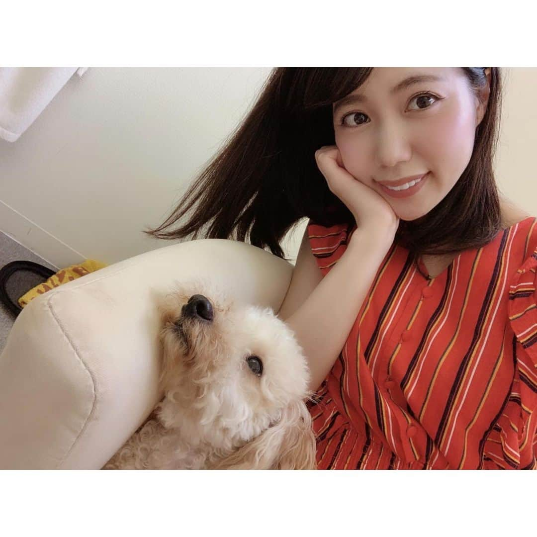 南まゆさんのインスタグラム写真 - (南まゆInstagram)「♡ 20日間の劇場オフも瞬く間に 終わりを迎えそうです☺️💦 . この20日間、 久しぶりにぼーっとする日もあり (身体が全く動きませんでした🥺) 映画も観れたし ずっと行きたかった歌舞伎の観劇にも 行ったり 実家に帰ってみたり 飲みに行けたり 友達にも会えたし☺️ みるみるの側にいてあげることも できたし(仕事にも連れてく🤣) 足も順調に治ってきてて安心✨ . 撮影会や、イベント、 撮影のお仕事もできたし わぁ、凄く充実してる🥺✨ . まだまだやりたいことやり切れてないけど(海とかプールとか花火とかお祭りとか夏ディズニーとか)笑 . 明日からは劇場に集中して この夏も皆様と一緒に 想い出深い日々に なるように、頑張っていきたいと思います😊‼️✨ . . 7/21-30 新宿ニューアートに出演‼️ . 8/11-31 浅草ロック座に出演‼️ . ニューアートでは 夏ぽく "サマドル"そして"おとひめ" をします🐚✨ どちらも海がステージ😍🏝 . 見たことある方も まだの方も 是非お待ちしてます〜〜☺️💗💗💗 . #梅雨は飽きたよ」7月20日 15時45分 - mayuminami1127