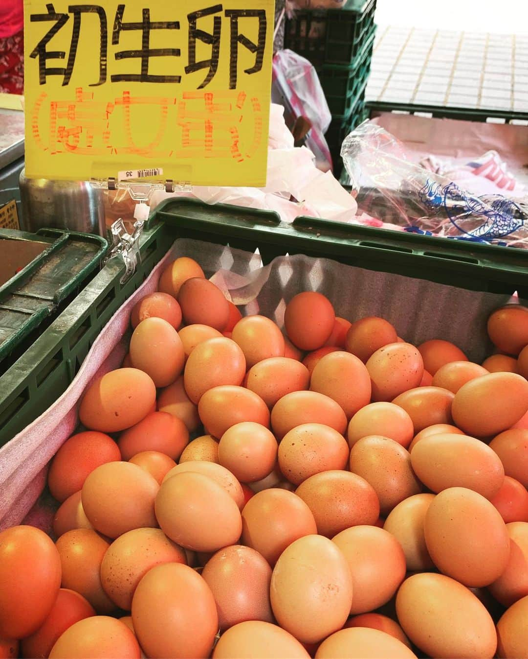 鷹野日南さんのインスタグラム写真 - (鷹野日南Instagram)「Taipei 🍧 . . 最近はメンバーと一緒に旅行に行く機会が多くて本当に嬉しいし、楽しいな〜 . . 台湾は、交通機関もちゃんとしててバイクが特に多かった気がする乗りたかった〜🏍笑 . . . .  旅行って本当に性格が出るからみんなの普段見ない一面が見れたり、言葉が通じない場所に行くから色々わからないことも沢山あるけど助け合いながら楽しい経験をできてみんな行くたび大人になってる気がする😊😊 . . . ひなが旅行好きな理由でもあるんだけど。 住んでる環境や人が全然違って、全く言葉が通じない場所にポンって立たされた時に「私はここでどれだけ楽しめるかな」っていうのを毎回自分への課題にしてて、最終日に「あぁーまじで充実してた！楽しかった！」って思えた時は本当に幸せなんだよね。🥰 . どんな場所に行っても、どんな人といても、楽しめるか楽しめないかは全部自分次第って常に胸に刻んでこれからも人生楽しんでいきたいな〜😛❤️ . . #台湾旅行 #台北 #西門町 #西門町美食 #ちょす旅ログ」7月20日 16時01分 - hinachan.3