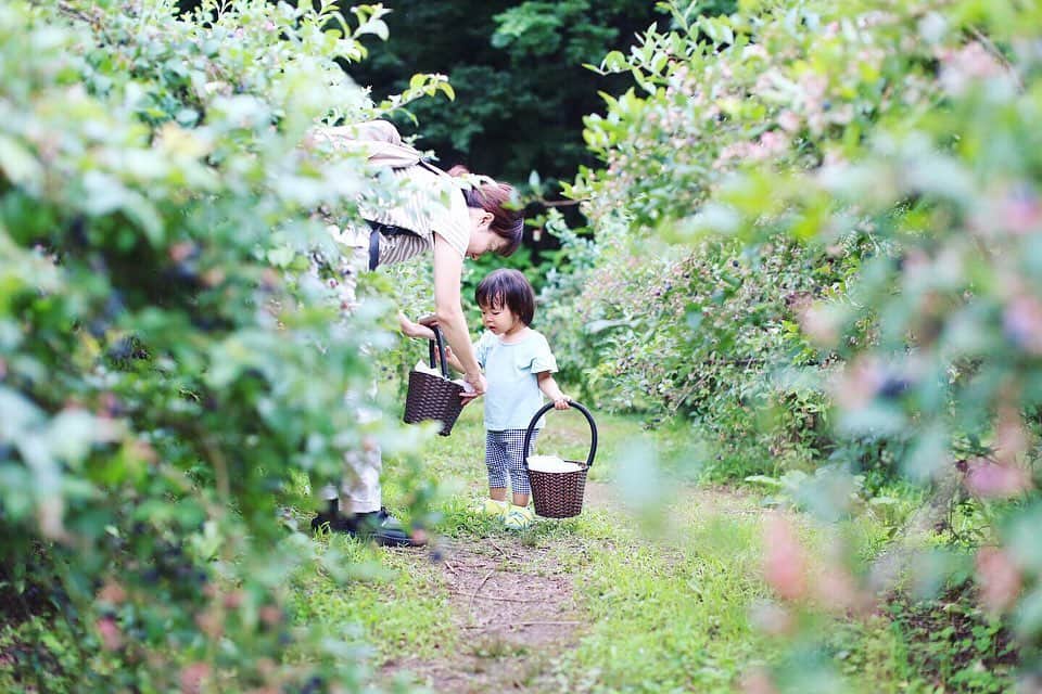 Megumi Konoのグルメインスタ