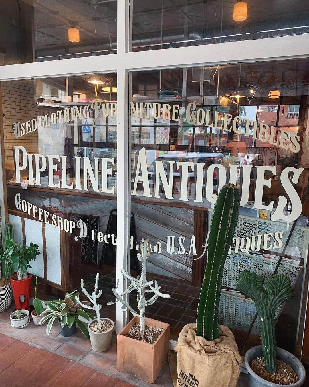 草野春香のグルメインスタ