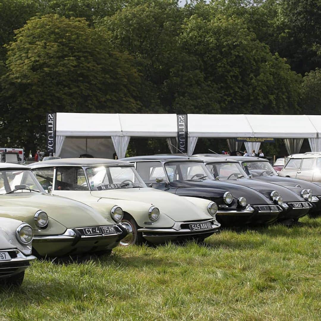 Citroënさんのインスタグラム写真 - (CitroënInstagram)「Citroën lovers!  The “Rassemblement du Siècle” (Collectors Gathering) is happening as we speak, and until July 21st. 🎶Thousands of Citroën,  Old and new, Parked at La Ferté Vidame in the Perche, France 🇫🇷. Waiting for you! 🎶  #Citroën100 #InspiredByYou #Citroen #Cars #CarsOfInstagram #InstaCar #ClassicCar #CarShow #PicOfTheDay」7月20日 22時38分 - citroen